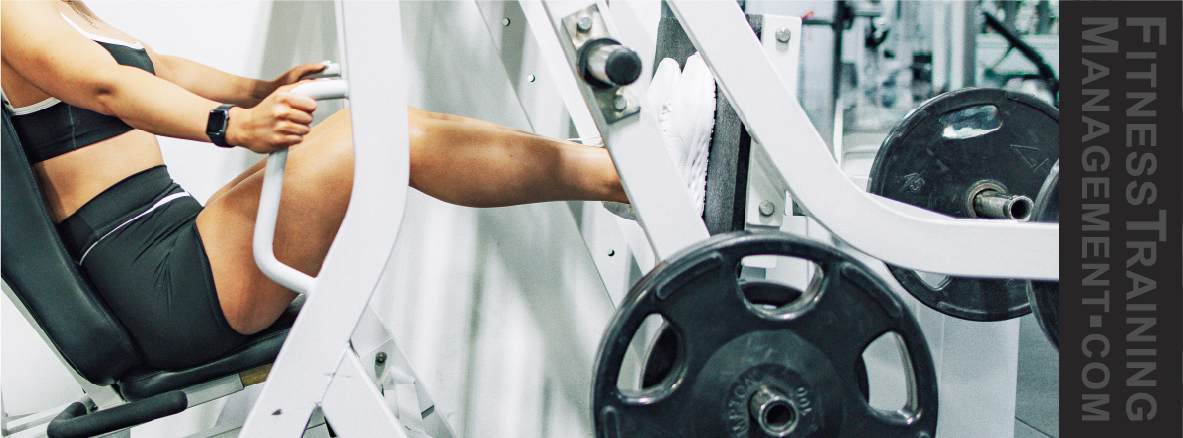 Bench and dumbbells.